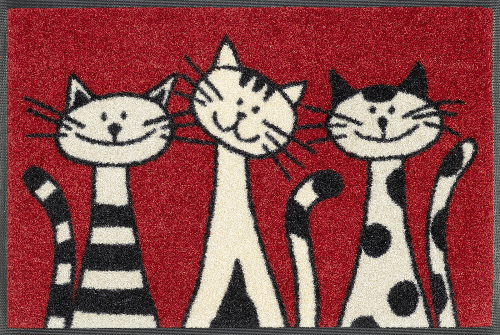 Sauberlaufmatte Three Cats, wash & dry Design, 40 x 60 cm, Draufsicht